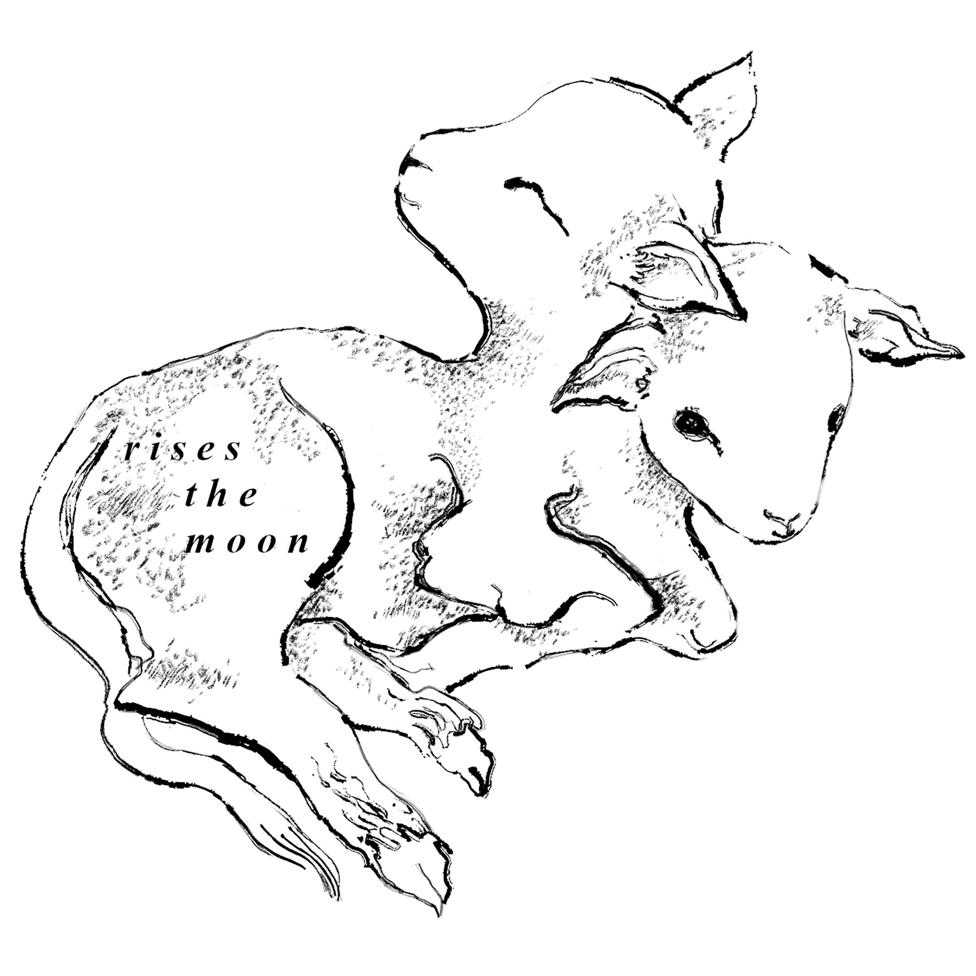 Rises The Moon Anniversary Sticker Liana Flores Online rises-the-moon-anniversary-sticker-liana-flores-online